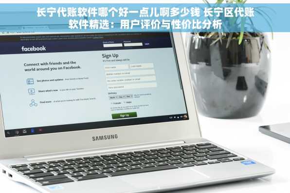 长宁代账软件哪个好一点儿啊多少钱 长宁区代账软件精选：用户评价与性价比分析
