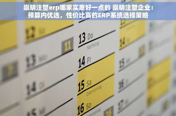 崇明注塑erp哪家实惠好一点的 崇明注塑企业：预算内优选，性价比高的ERP系统选择策略