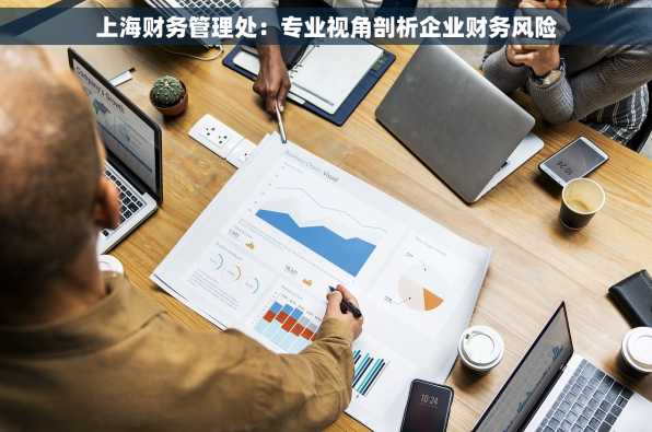 上海财务管理处：专业视角剖析企业财务风险