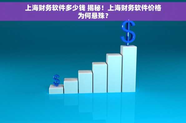 上海财务软件多少钱 揭秘！上海财务软件价格为何悬殊？
