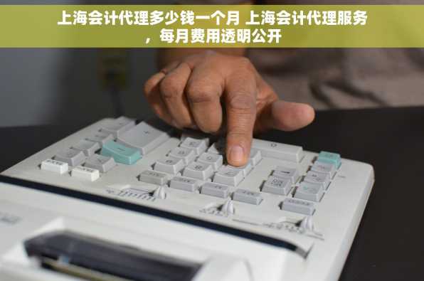 上海会计代理多少钱一个月 上海会计代理服务，每月费用透明公开