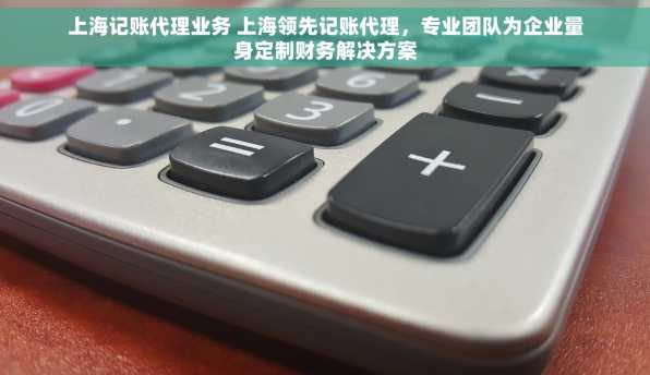 上海记账代理业务 上海领先记账代理，专业团队为企业量身定制财务解决方案