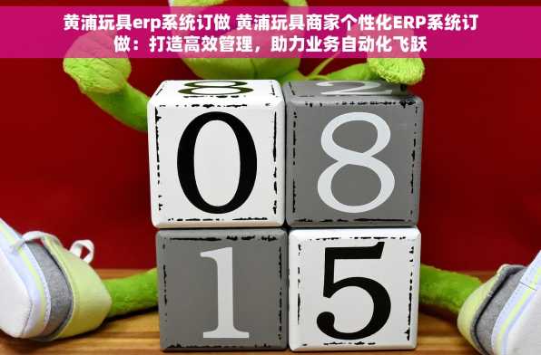 黄浦玩具erp系统订做 黄浦玩具商家个性化ERP系统订做：打造高效管理，助力业务自动化飞跃