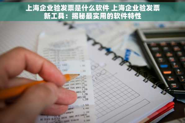 上海企业验发票是什么软件 上海企业验发票新工具：揭秘最实用的软件特性