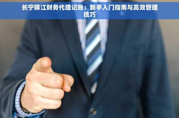 长宁锦江财务代理记账：新手入门指南与高效管理技巧