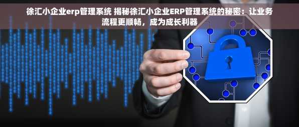 徐汇小企业erp管理系统 揭秘徐汇小企业ERP管理系统的秘密：让业务流程更顺畅，成为成长利器