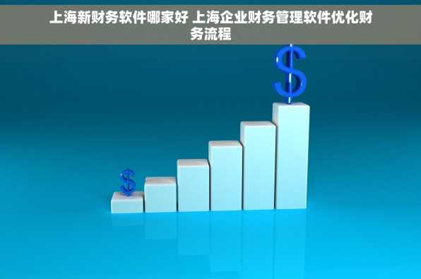上海新财务软件哪家好 上海企业财务管理软件优化财务流程