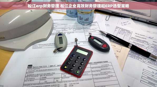 松江erp财务管理 松江企业高效财务管理和ERP选型策略
