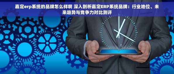 嘉定erp系统的品牌怎么样啊 深入剖析嘉定ERP系统品牌：行业地位、未来趋势与竞争力对比测评
