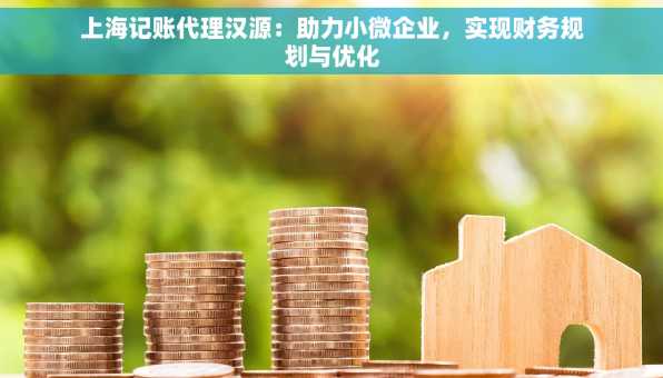 上海记账代理汉源：助力小微企业，实现财务规划与优化