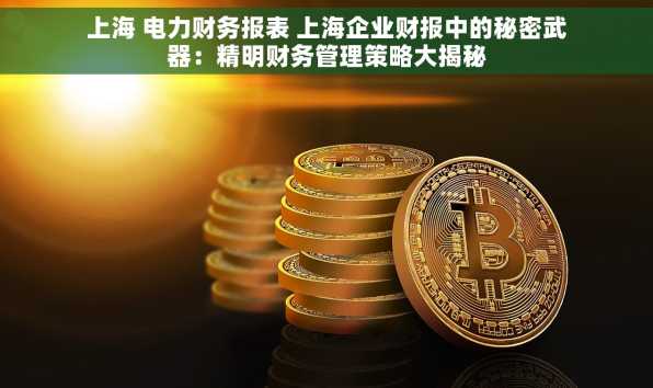 上海 电力财务报表 上海企业财报中的秘密武器：精明财务管理策略大揭秘