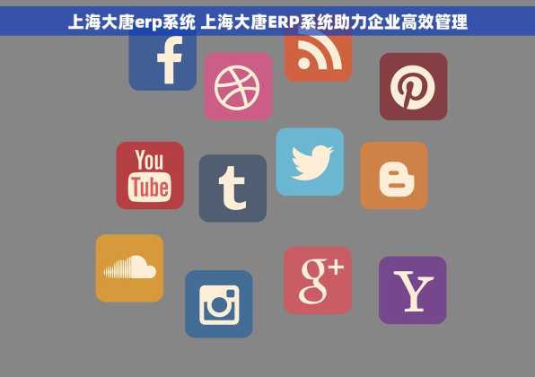 上海大唐erp系统 上海大唐ERP系统助力企业高效管理