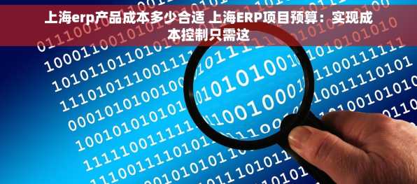 上海erp产品成本多少合适 上海ERP项目预算：实现成本控制只需这