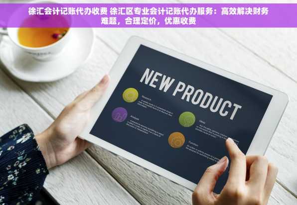 徐汇会计记账代办收费 徐汇区专业会计记账代办服务：高效解决财务难题，合理定价，优惠收费