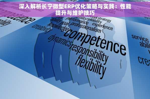 深入解析长宁微型ERP优化策略与实践：性能提升与维护技巧