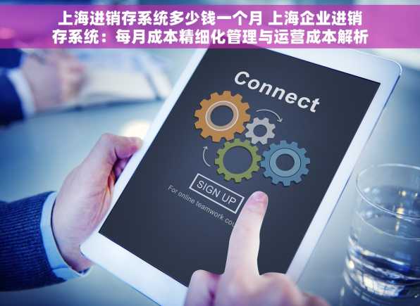 上海进销存系统多少钱一个月 上海企业进销存系统：每月成本精细化管理与运营成本解析，包含预估费用与服务报价