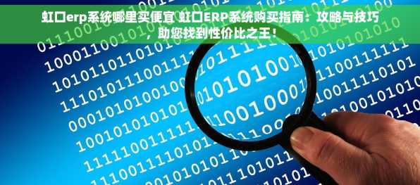虹口erp系统哪里买便宜 虹口ERP系统购买指南：攻略与技巧，助您找到性价比之王！