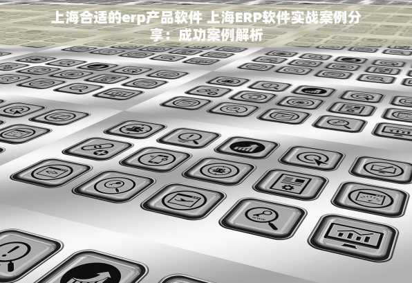 上海合适的erp产品软件 上海ERP软件实战案例分享：成功案例解析