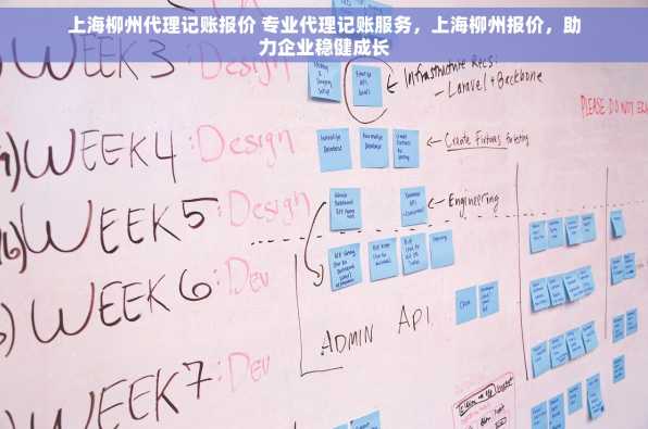 上海柳州代理记账报价 专业代理记账服务，上海柳州报价，助力企业稳健成长