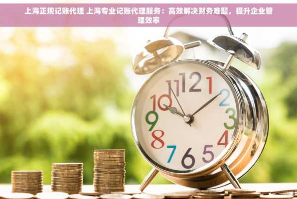上海正规记账代理 上海专业记账代理服务：高效解决财务难题，提升企业管理效率