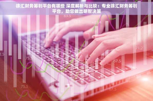 徐汇财务筹划平台有哪些 深度解析与比较：专业徐汇财务筹划平台，助您做出明智决策