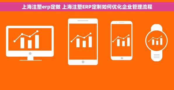 上海注塑erp定做 上海注塑ERP定制如何优化企业管理流程