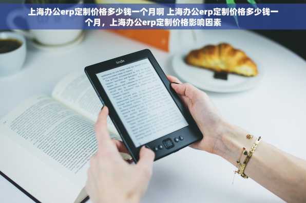 上海办公erp定制价格多少钱一个月啊 上海办公erp定制价格多少钱一个月，上海办公erp定制价格影响因素
