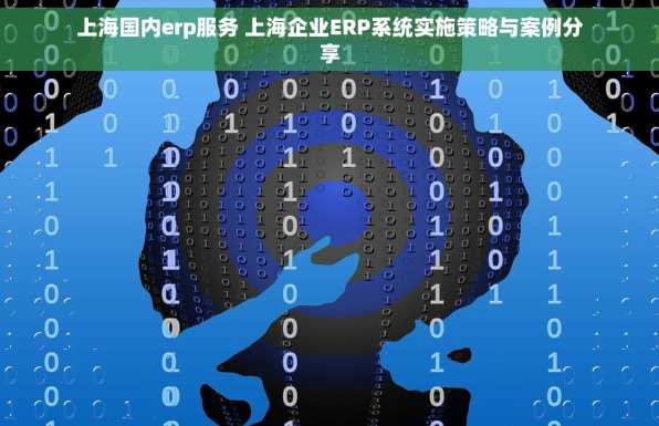 上海国内erp服务 上海企业ERP系统实施策略与案例分享