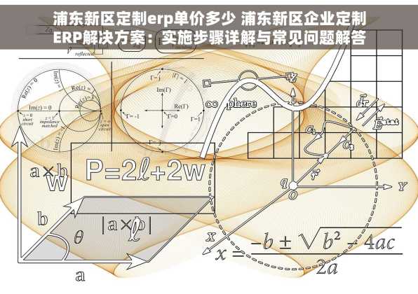 浦东新区定制erp单价多少 浦东新区企业定制ERP解决方案：实施步骤详解与常见问题解答