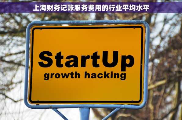 上海财务记账服务费用的行业平均水平