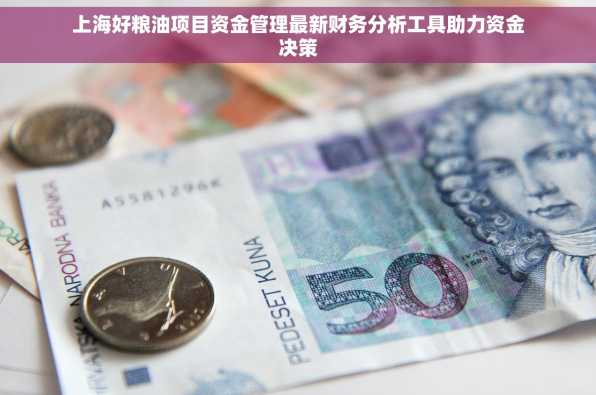 上海好粮油项目资金管理最新财务分析工具助力资金决策