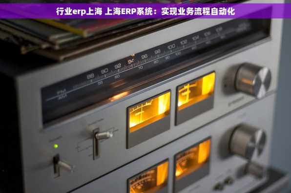 行业erp上海 上海ERP系统：实现业务流程自动化