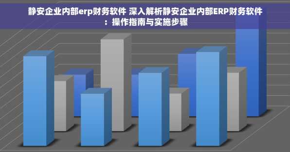 静安企业内部erp财务软件 深入解析静安企业内部ERP财务软件：操作指南与实施步骤