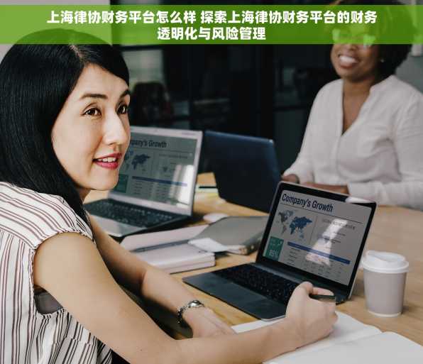 上海律协财务平台怎么样 探索上海律协财务平台的财务透明化与风险管理