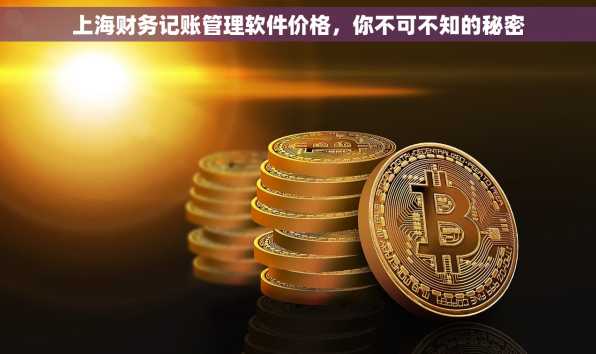 上海财务记账管理软件价格，你不可不知的秘密