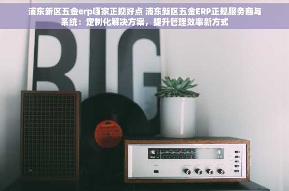 浦东新区五金erp哪家正规好点 浦东新区五金ERP正规服务商与系统：定制化解决方案，提升管理效率新方式