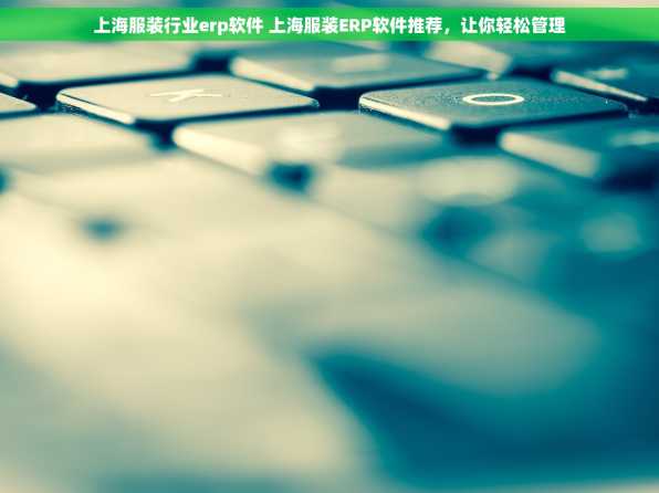 上海服装行业erp软件 上海服装ERP软件推荐，让你轻松管理
