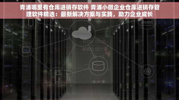 青浦哪里有仓库进销存软件 青浦小微企业仓库进销存管理软件精选：最新解决方案与实践，助力企业成长