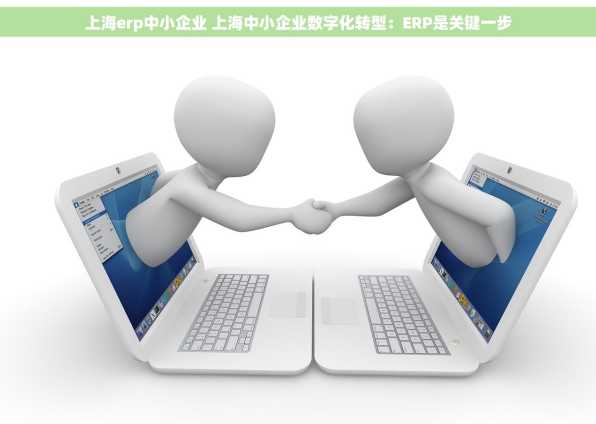 上海erp中小企业 上海中小企业数字化转型：ERP是关键一步