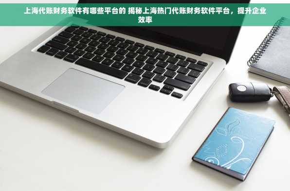 上海代账财务软件有哪些平台的 揭秘上海热门代账财务软件平台，提升企业效率