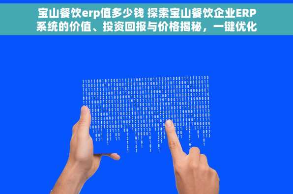 宝山餐饮erp值多少钱 探索宝山餐饮企业ERP系统的价值、投资回报与价格揭秘，一键优化餐饮管理效率