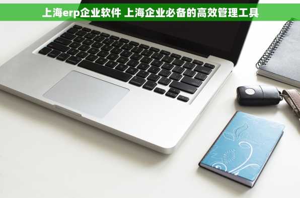 上海erp企业软件 上海企业必备的高效管理工具