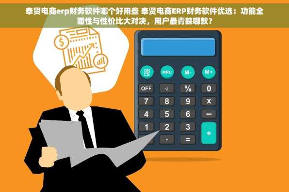 奉贤电商erp财务软件哪个好用些 奉贤电商ERP财务软件优选：功能全面性与性价比大对决，用户最青睐哪款？