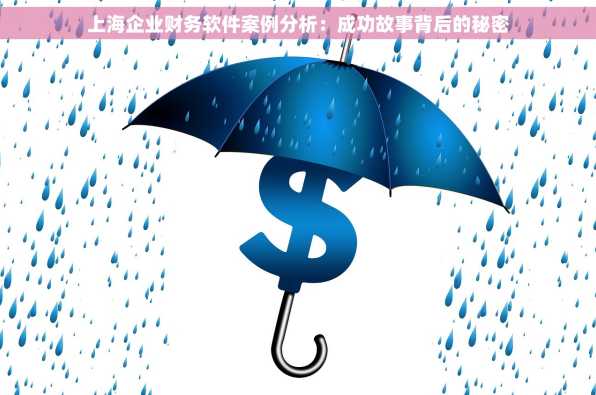 上海企业财务软件案例分析：成功故事背后的秘密