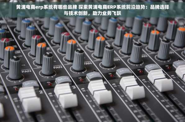 黄浦电商erp系统有哪些品牌 探索黄浦电商ERP系统前沿趋势：品牌选择与技术创新，助力业务飞跃