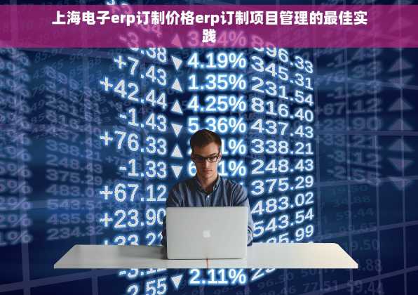 上海电子erp订制价格erp订制项目管理的最佳实践