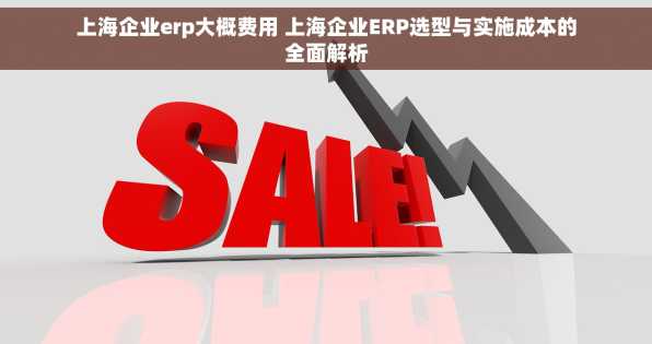 上海企业erp大概费用 上海企业ERP选型与实施成本的全面解析