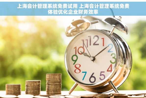 上海会计管理系统免费试用 上海会计管理系统免费体验优化企业财务效率