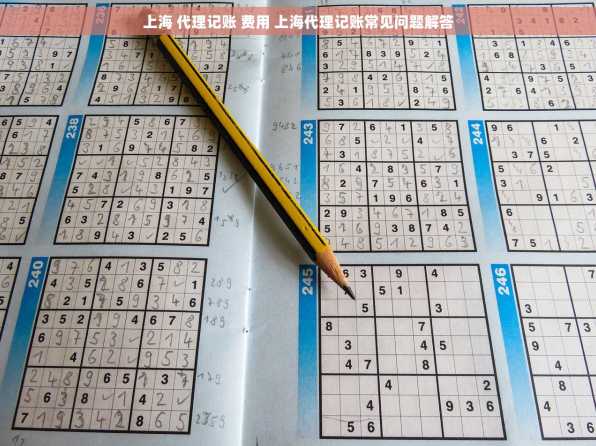 上海 代理记账 费用 上海代理记账常见问题解答