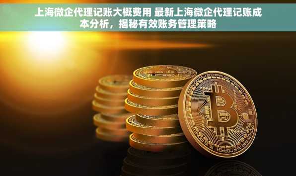 上海微企代理记账大概费用 最新上海微企代理记账成本分析，揭秘有效账务管理策略